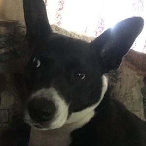 Meet your Posher, Krisstyn